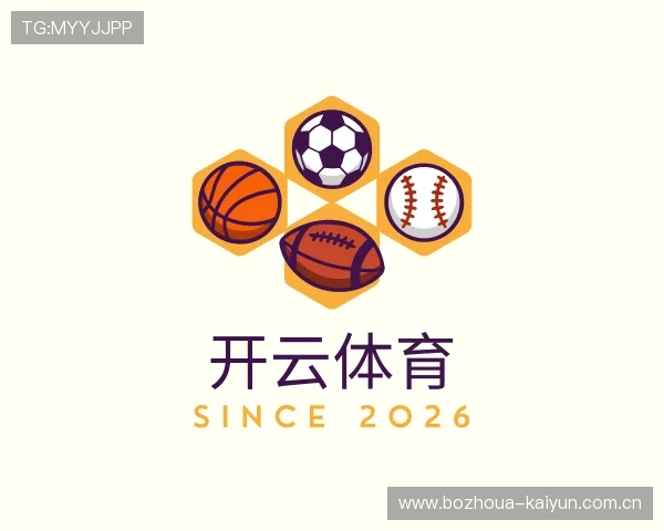 解读开云体育app下载